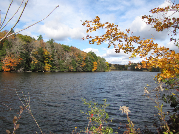 Rising Pond